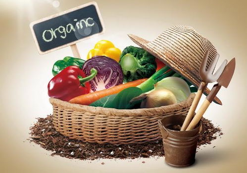 有机食品与母婴用品 最划算的家庭健康投资
